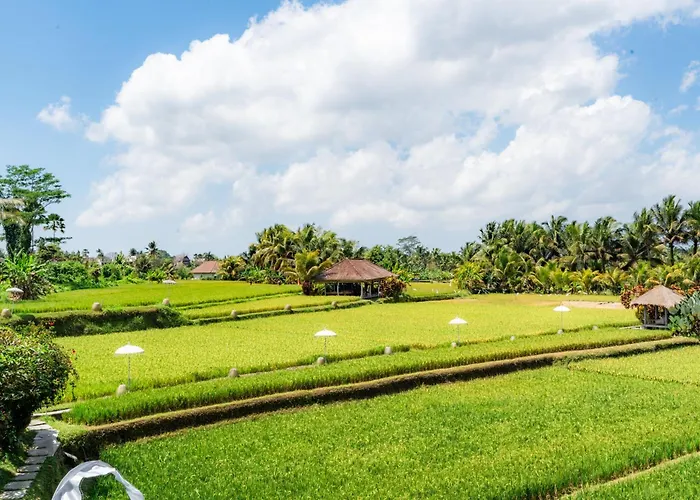 Hotel Mathis Retreat 4*