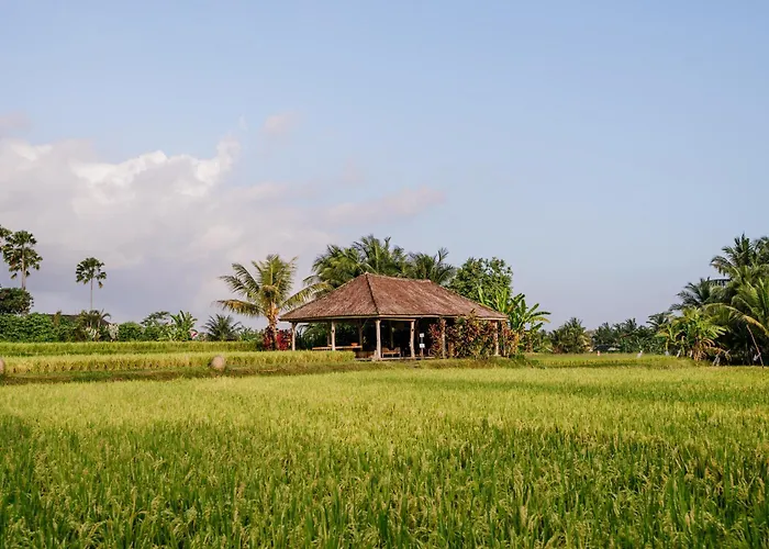 Hotel Mathis Retreat 4*