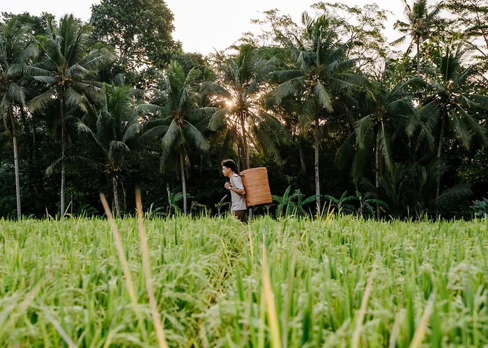 Hotel Mathis Retreat Ubud
