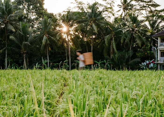 Mathis Retreat 4* Ubud